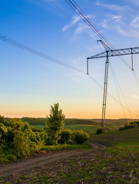 beautiful-wide-panorama-high-voltage-lines-power-pylons-stretching-through-spring-fields-group-green-trees-dawn-sunset-transmission-distribution-electricity-concept beautiful-wide-panorama-high-voltage-lines-power-pylons-stretching-through-spring-fields-group-green-trees-dawn-sunset-transmission-distribution-electricity-concept