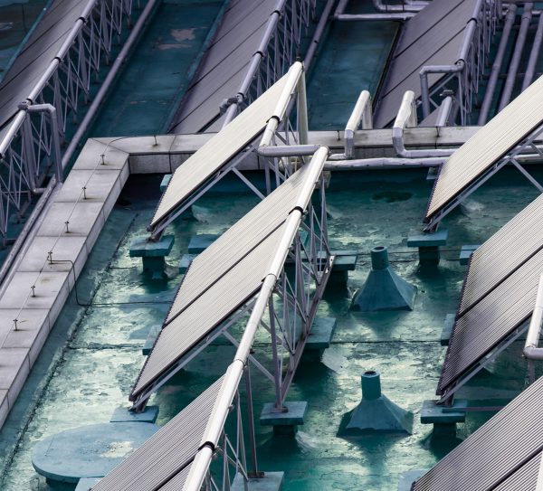 ecology-sunny-summer-global-alternative ecology-sunny-summer-global-alternative